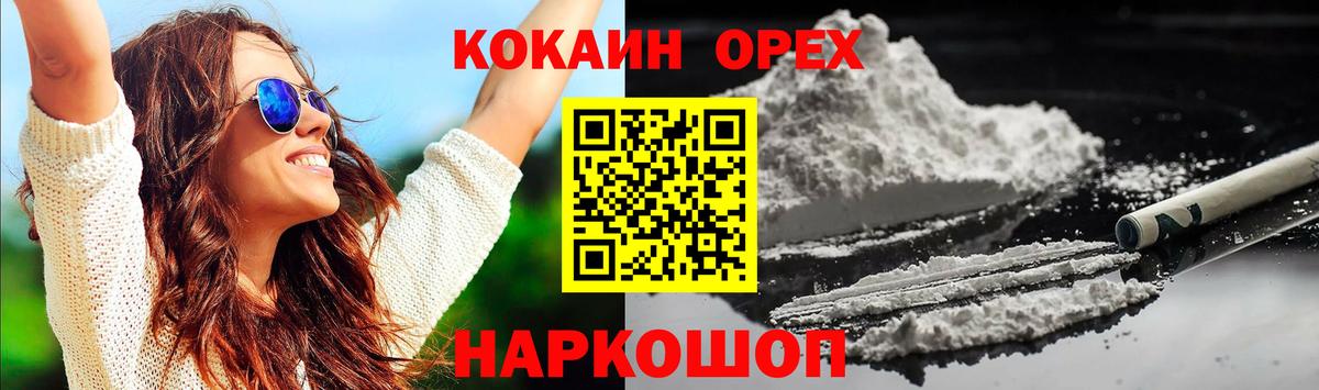 Губкин  COCAIN Эквадор  Cocaine Fish Scale  Вход с VPN 