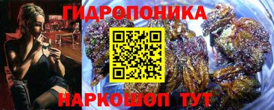 трава Кингисепп